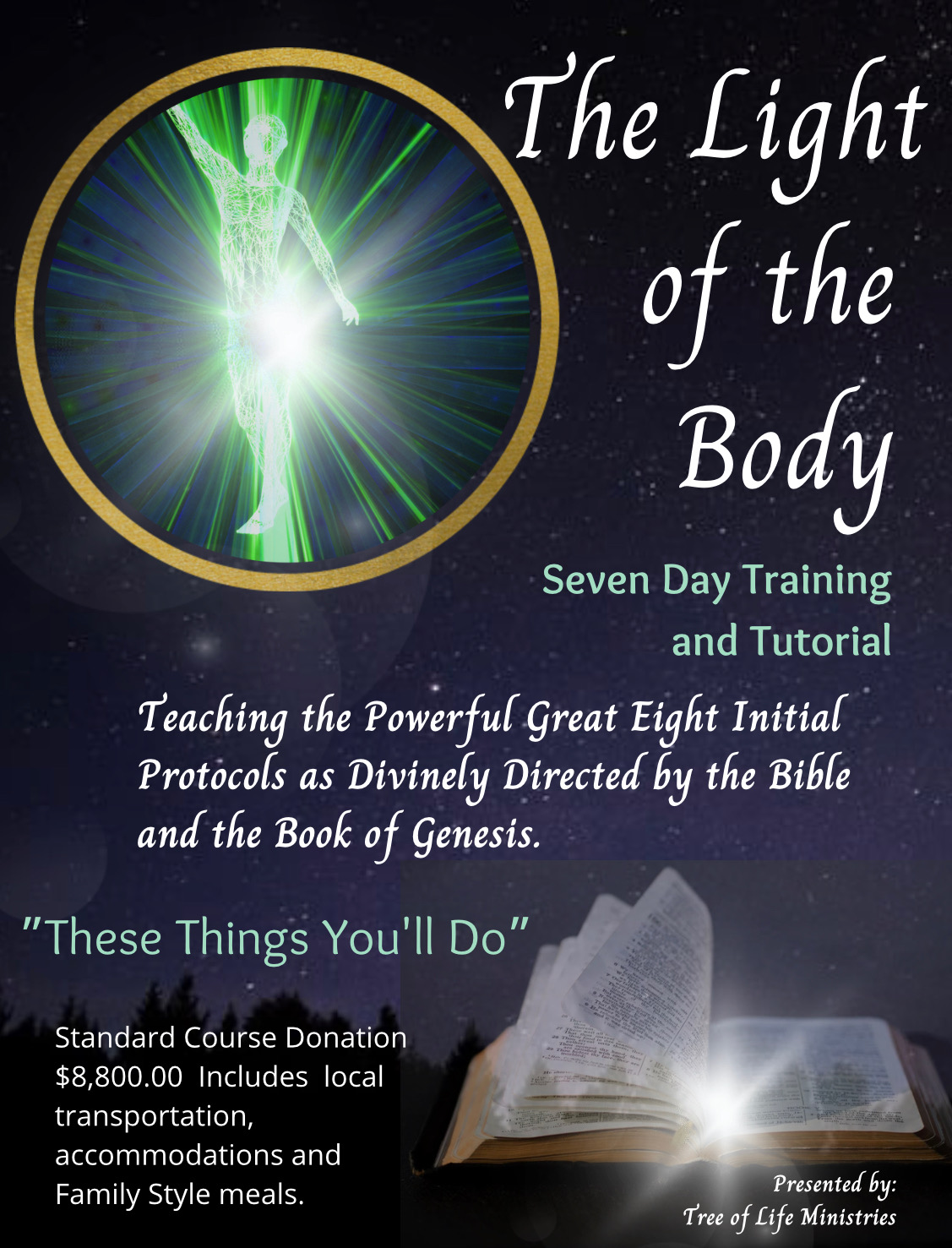 The Light of the Body